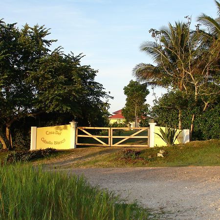 Casa Del Caballo Blanco San Ignacio Exterior photo
