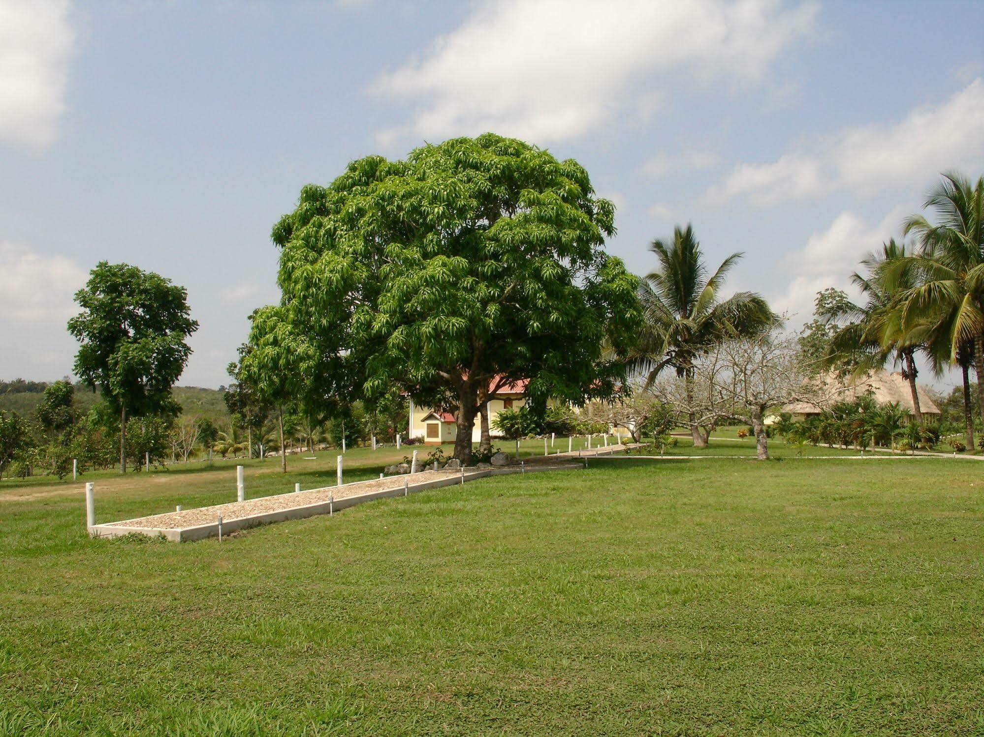 Casa Del Caballo Blanco San Ignacio Exterior photo